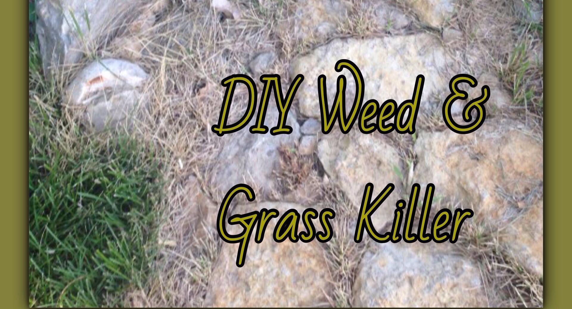 Best ideas about DIY Grass Killer
. Save or Pin DIY Grass & Weed Killer Living In Wooville Now.
