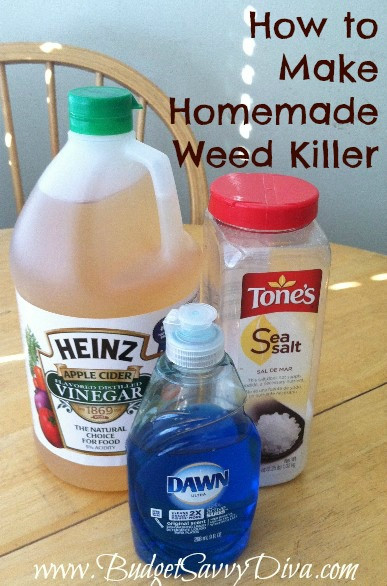 Best ideas about DIY Grass Killer
. Save or Pin How to Make Homemade Weed Killer Now.