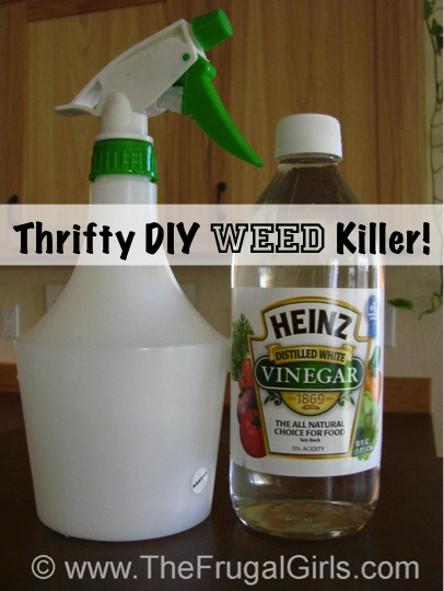 Best ideas about DIY Grass Killer
. Save or Pin 29 Gardening Tips and Tricks Best Bud Friendly Ideas Now.