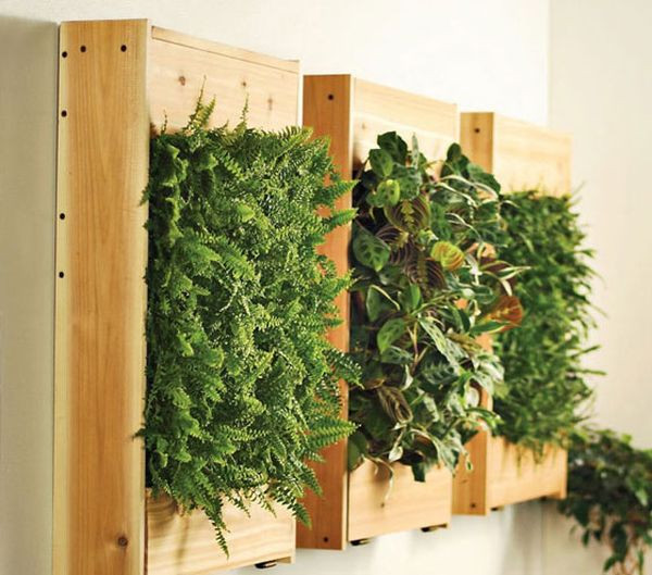 Best ideas about DIY Green Wall
. Save or Pin Cool DIY Green Living Wall Projects For Your Home Now.