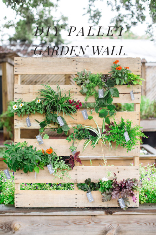 Best ideas about DIY Green Wall
. Save or Pin How To create your own green wall DIY Green Wall Ideas Now.