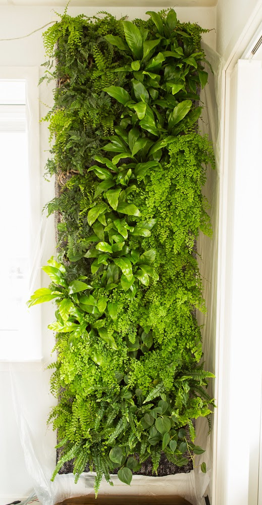 Best ideas about DIY Green Wall
. Save or Pin DIY Greenwalls Now.
