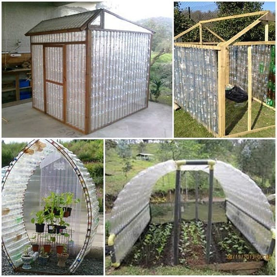 Best ideas about DIY Greenhouse Cheap
. Save or Pin Greenhouse The Cheap Using Plastic Bottles Now.