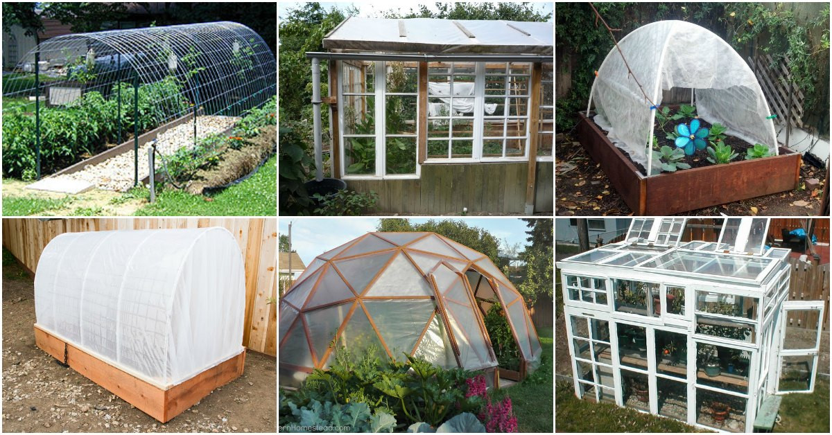 Best ideas about DIY Greenhouse Cheap
. Save or Pin 20 Free DIY Greenhouse Plans You’ll Want To Make Right Now.