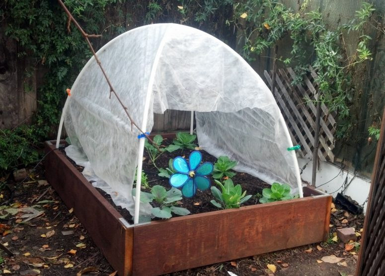 Best ideas about DIY Greenhouse Cheap
. Save or Pin 11 Cool DIY Greenhouses With Plans And Tutorials Shelterness Now.