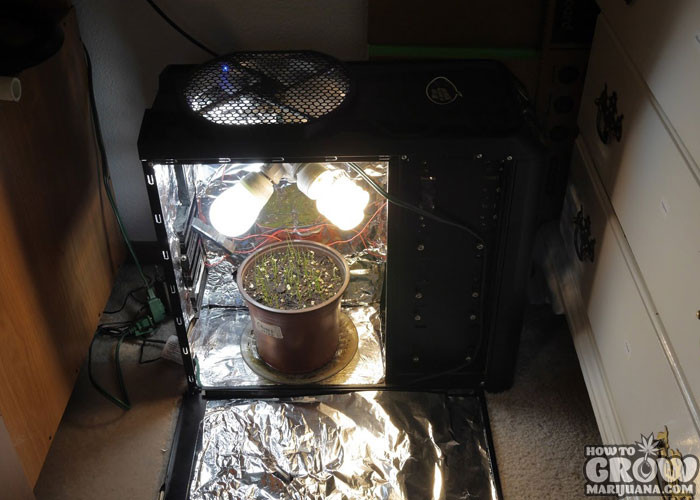 Best ideas about DIY Grow Box
. Save or Pin Tips to be ing the MacGyver of DIY Marijuana Grow Boxes Now.