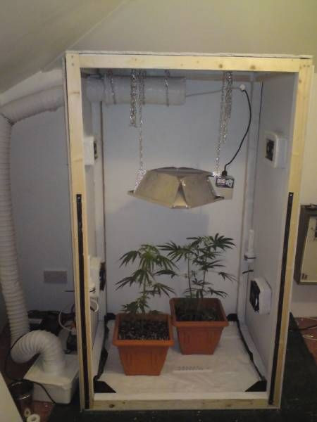 Best ideas about DIY Grow Box
. Save or Pin DIY Marijuana Grow Box I like this system It is an Now.