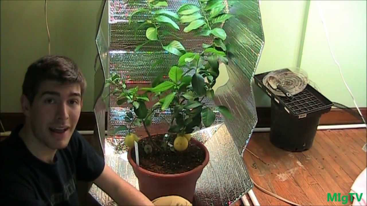 Best ideas about DIY Grow Tent
. Save or Pin How To Make the Cheapest DIY Grow Tent for Indoor Plants Now.