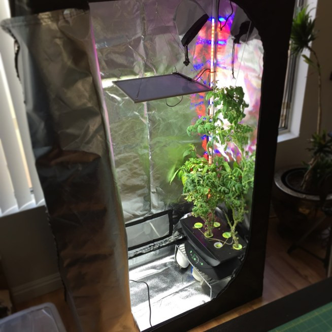 Best ideas about DIY Grow Tent
. Save or Pin Building a Home Grow Tent Now.