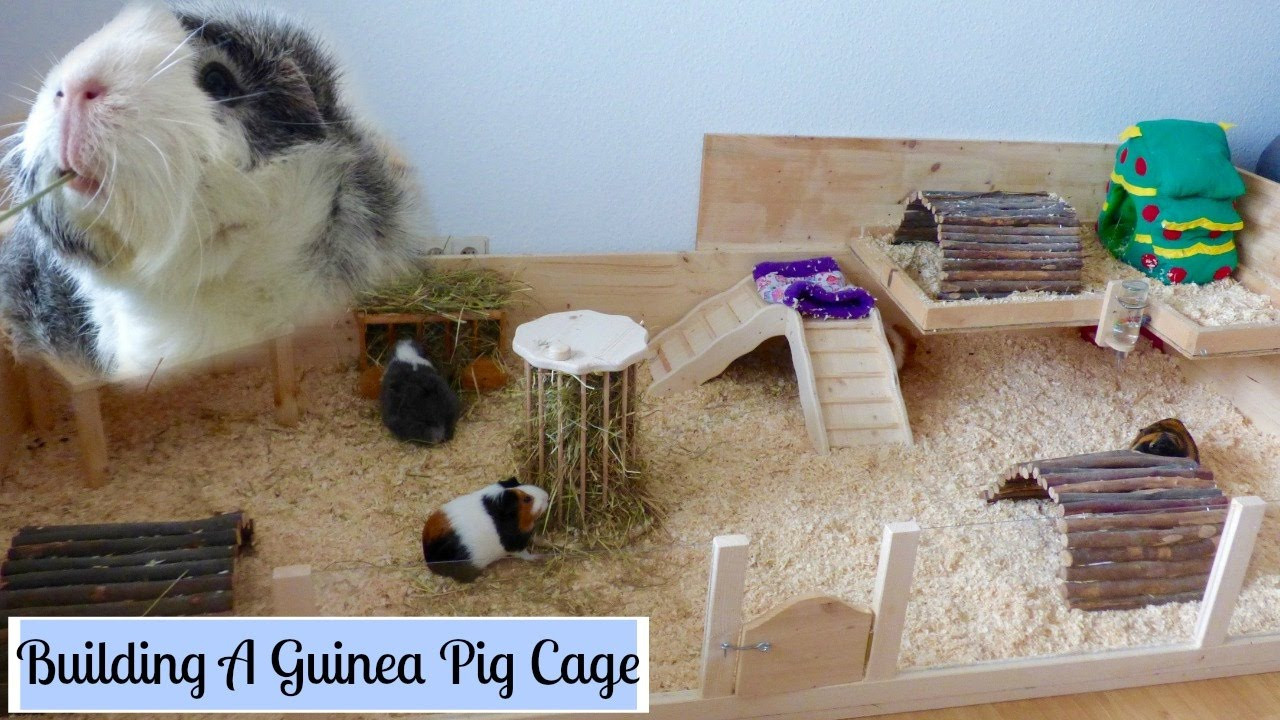 Best ideas about DIY Guinea Pig Cage
. Save or Pin How to Build Your Own Wooden Guinea Pig Cage Now.