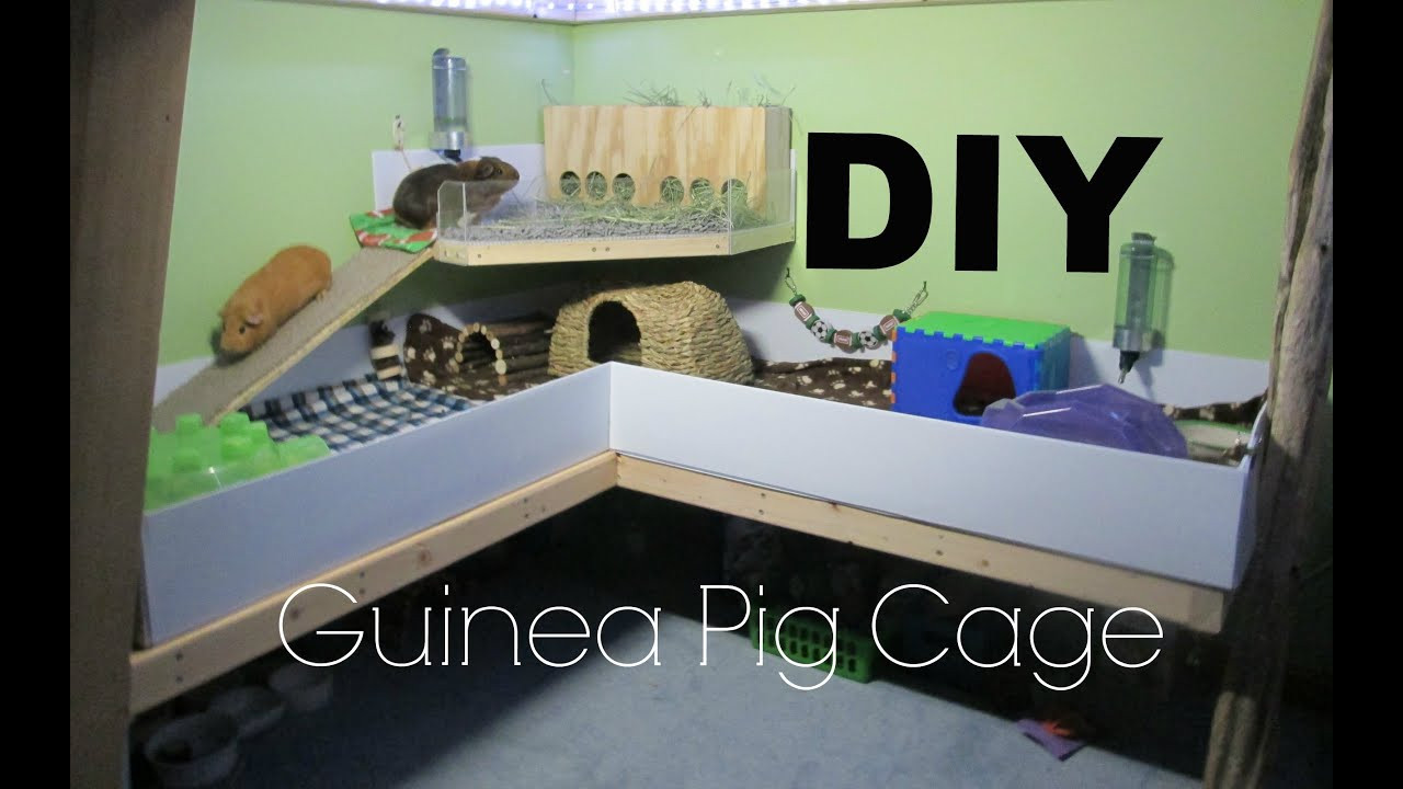 Best ideas about DIY Guinea Pig Cage
. Save or Pin DIY Guinea Pig Cage Now.
