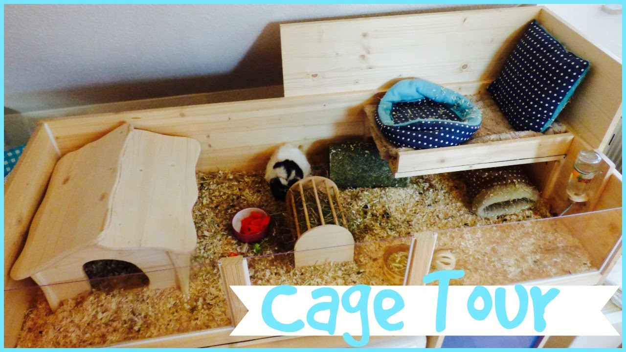 Best ideas about DIY Guinea Pig Cage
. Save or Pin DIY Cage Tour My Mum s Guinea Pig Cage Now.