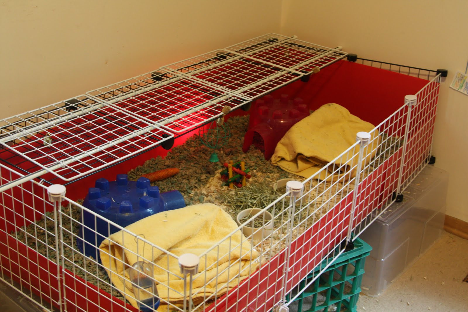 Best ideas about DIY Guinea Pig Cage
. Save or Pin Kibbles N Knits DIY Guinea Pig Cage Now.