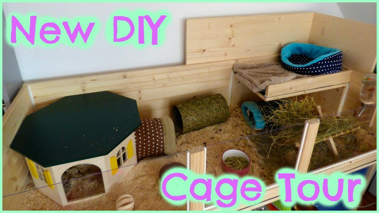 Best ideas about DIY Guinea Pig Cage
. Save or Pin DIY Cage Tour My Mum s Guinea Pig Cage Now.
