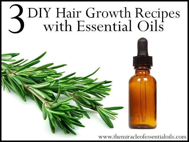 Best ideas about DIY Hair Growth Oil
. Save or Pin 3 DIY Essential Oil Recipes for Hair Growth The Miracle Now.
