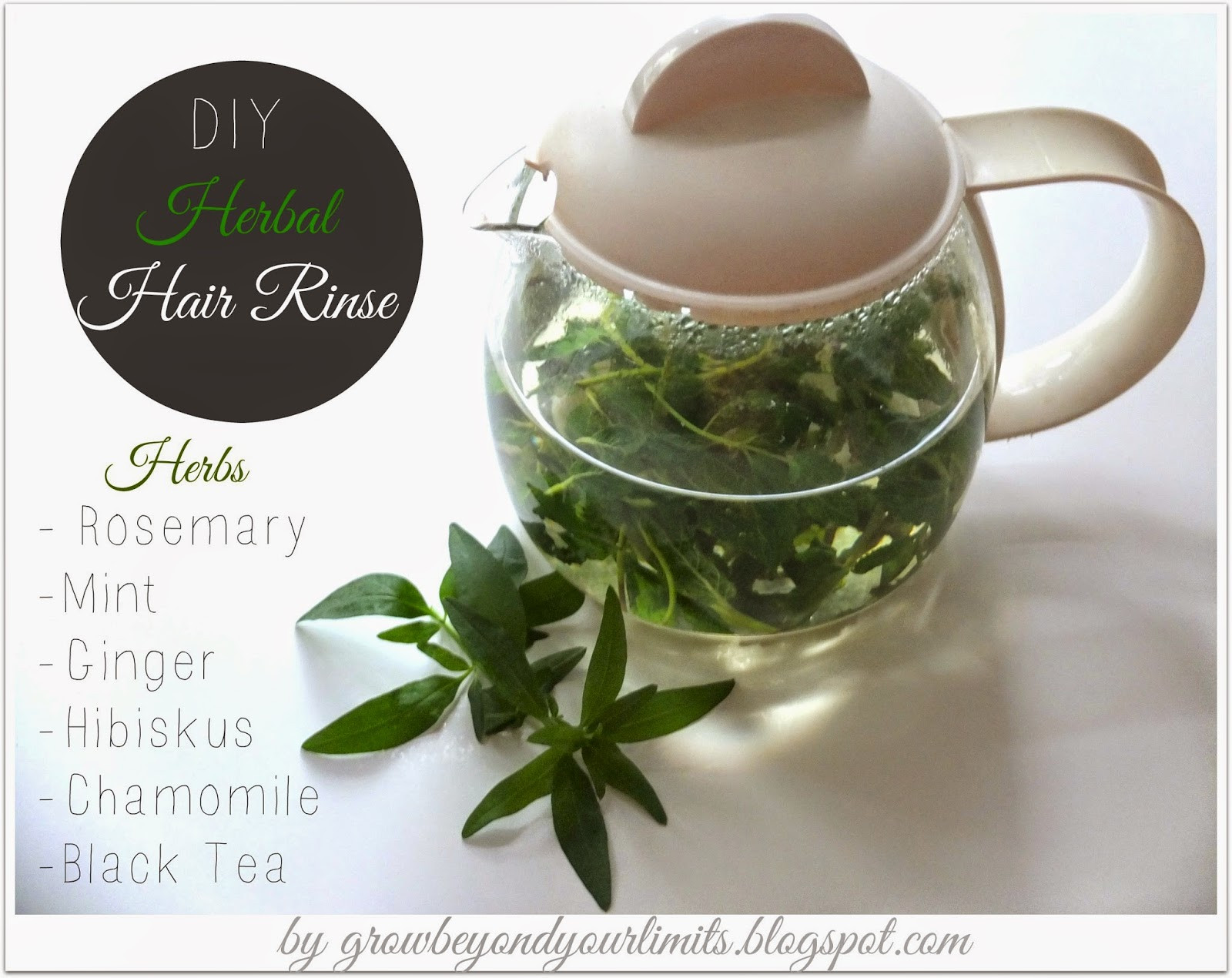Best ideas about DIY Hair Rinse
. Save or Pin How to grow healthy long and beautiful hair Holistic and Now.