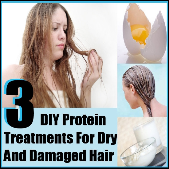 Best ideas about DIY Hair Treatments For Damaged Hair
. Save or Pin 3 DIY Protein Treatments For Dry and Damaged Hair Now.