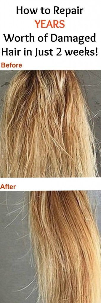 Best ideas about DIY Hair Treatments For Damaged Hair
. Save or Pin Best 25 Dry damaged hair ideas on Pinterest Now.