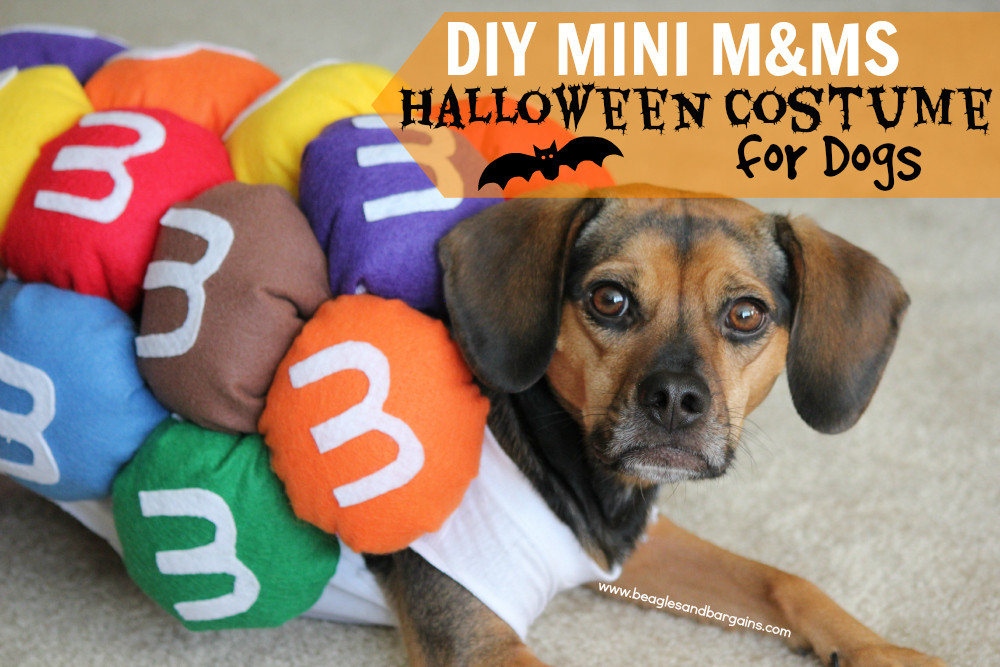 Best ideas about DIY Halloween Costume For Dogs
. Save or Pin DIY Mini M&Ms Halloween Costume for Dogs Now.