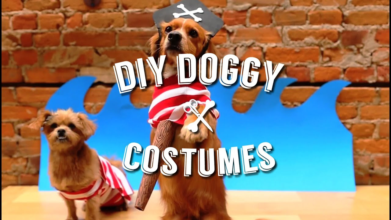 Best ideas about DIY Halloween Costume For Dogs
. Save or Pin EASY DIY HALLOWEEN COSTUMES FOR YOUR PET DOG Now.