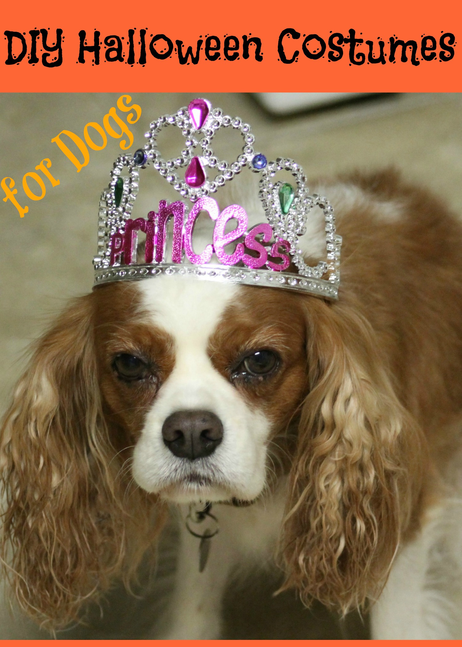 Best ideas about DIY Halloween Costumes For Dogs
. Save or Pin 5 DIY Halloween Costumes for Dogs Now.