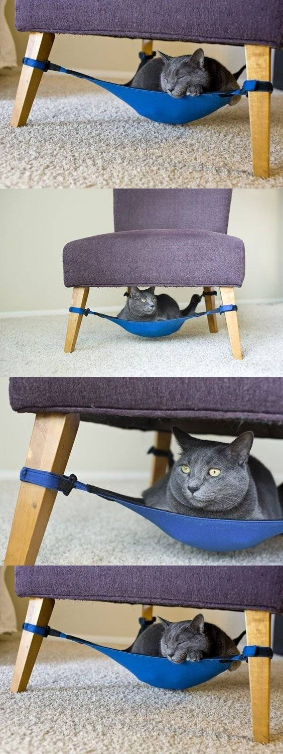 Best ideas about DIY Hammock Bed
. Save or Pin Diy hammock Cat beds and For cats on Pinterest Now.