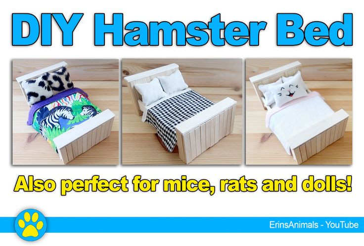 Best ideas about DIY Hamster Bedding
. Save or Pin Best 25 Hamster house ideas on Pinterest Now.