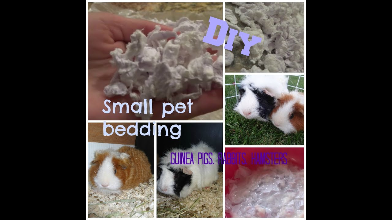 Best ideas about DIY Hamster Bedding
. Save or Pin DIY Carefresh homemade small pet bedding Now.