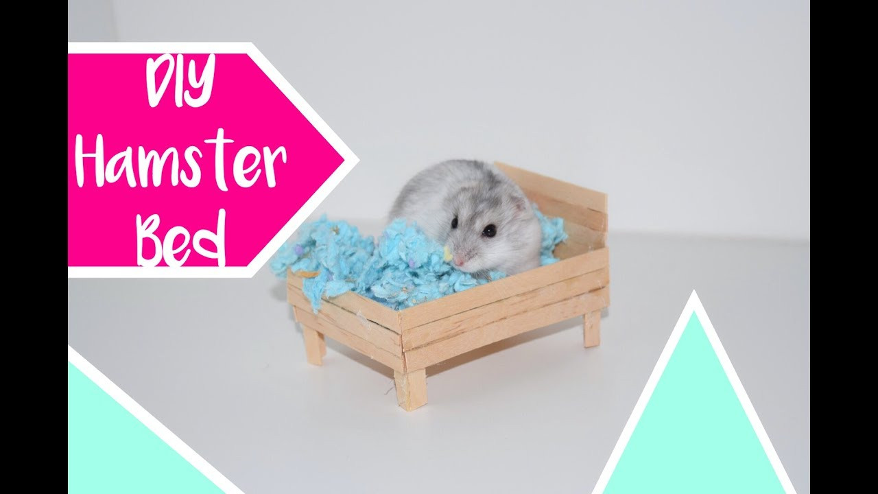 Best ideas about DIY Hamster Bedding
. Save or Pin DIY Hamster Bed Now.