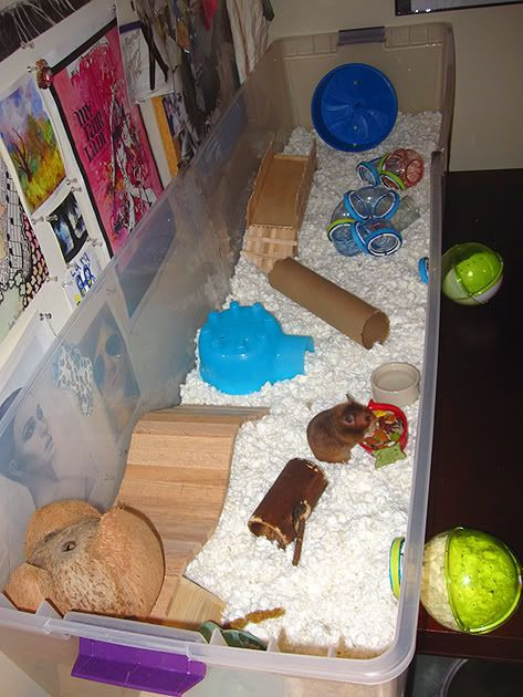 Best ideas about DIY Hamster Bedding
. Save or Pin DIY Hamster Cage "MegaBin" LeeLee says " cut the ends Now.