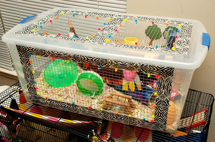 Best ideas about DIY Hamster Bin Cage
. Save or Pin DIY Hammy Happenings Now.