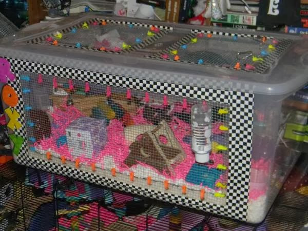 Best ideas about DIY Hamster Bin Cage
. Save or Pin Critter Corner Hamster Bin Cages Now.