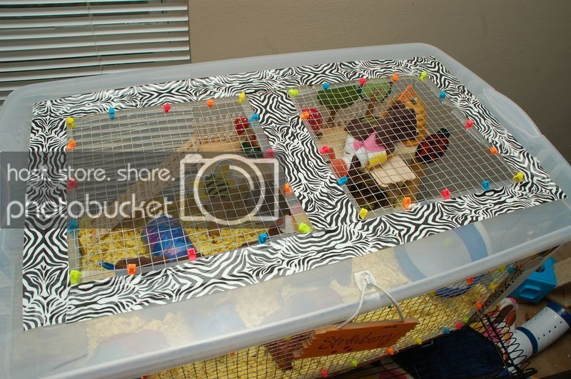 Best ideas about DIY Hamster Bin Cage
. Save or Pin DIY Hamster Cage Bin Cage Now.