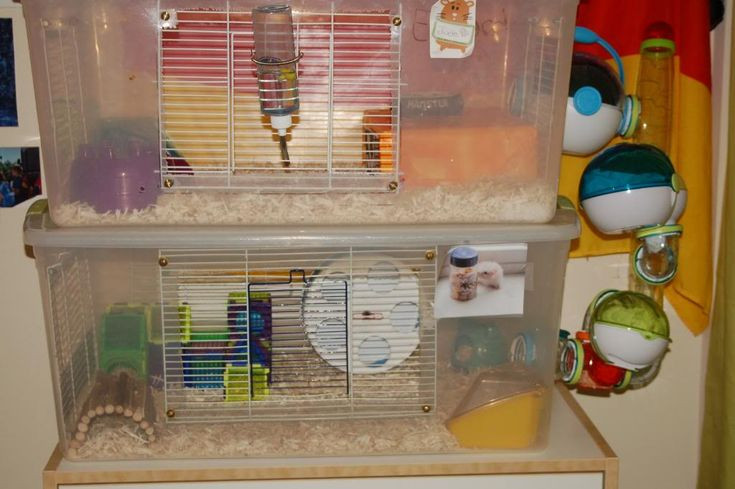 Best ideas about DIY Hamster Bin Cage
. Save or Pin homemade hamster cages Hamster Hideout Forum Now.