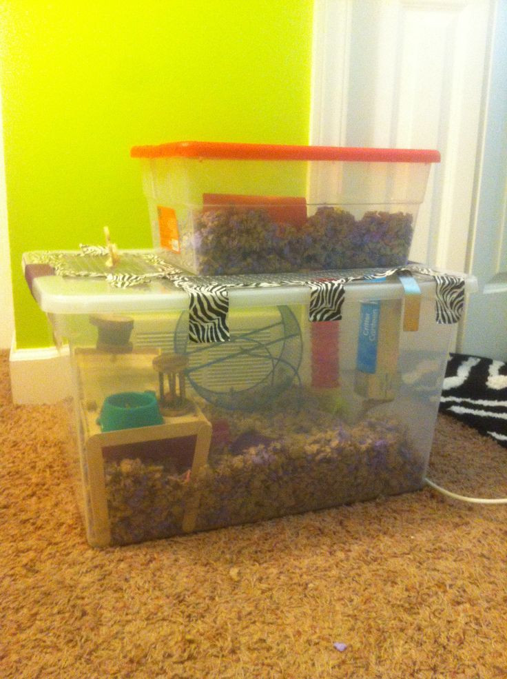 Best ideas about DIY Hamster Bin Cage
. Save or Pin Hamster DIY bin cage This is buddy s 488 square inch two Now.