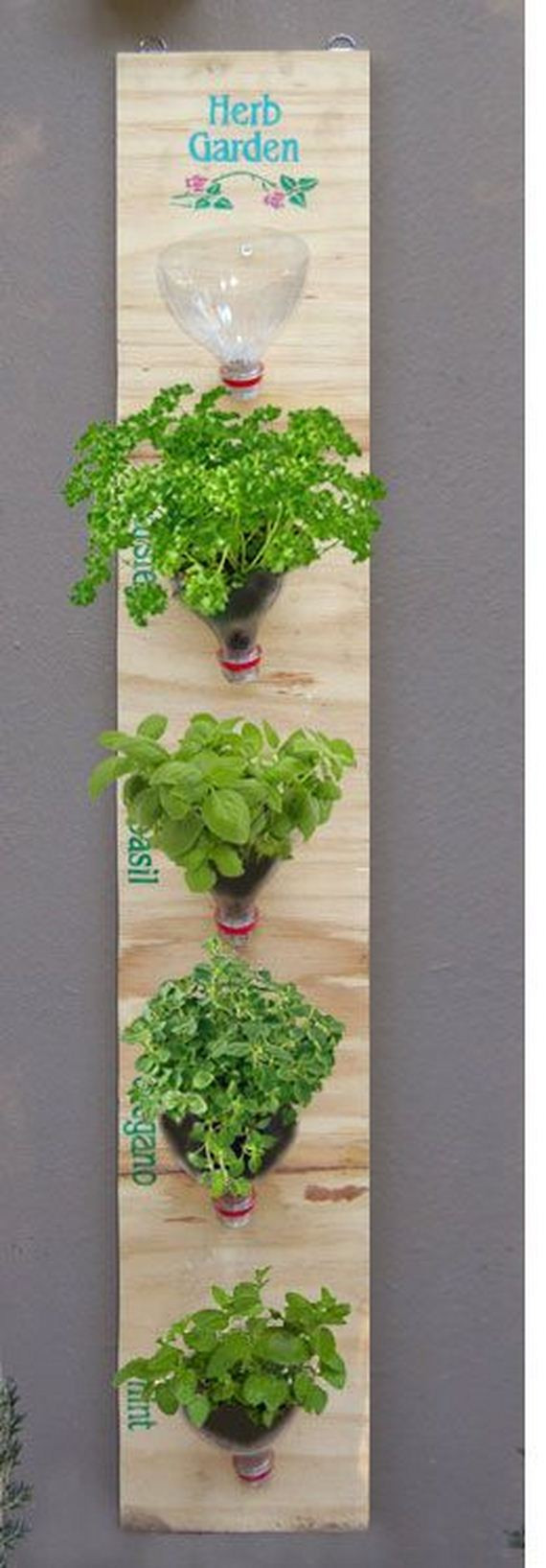 Best ideas about DIY Hanging Herb Garden
. Save or Pin DIY Indoor Herb Garden Ideas Now.