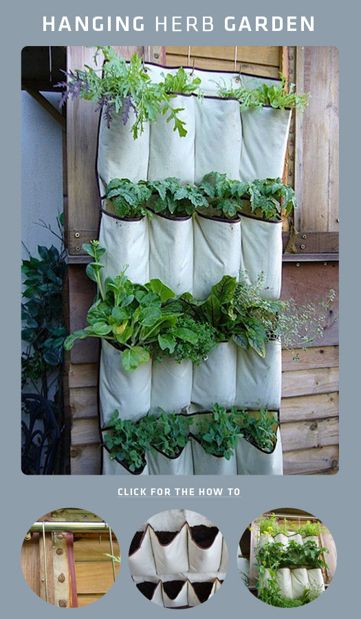 Best ideas about DIY Hanging Herb Garden
. Save or Pin 7 DIY Projects for Renters Now.