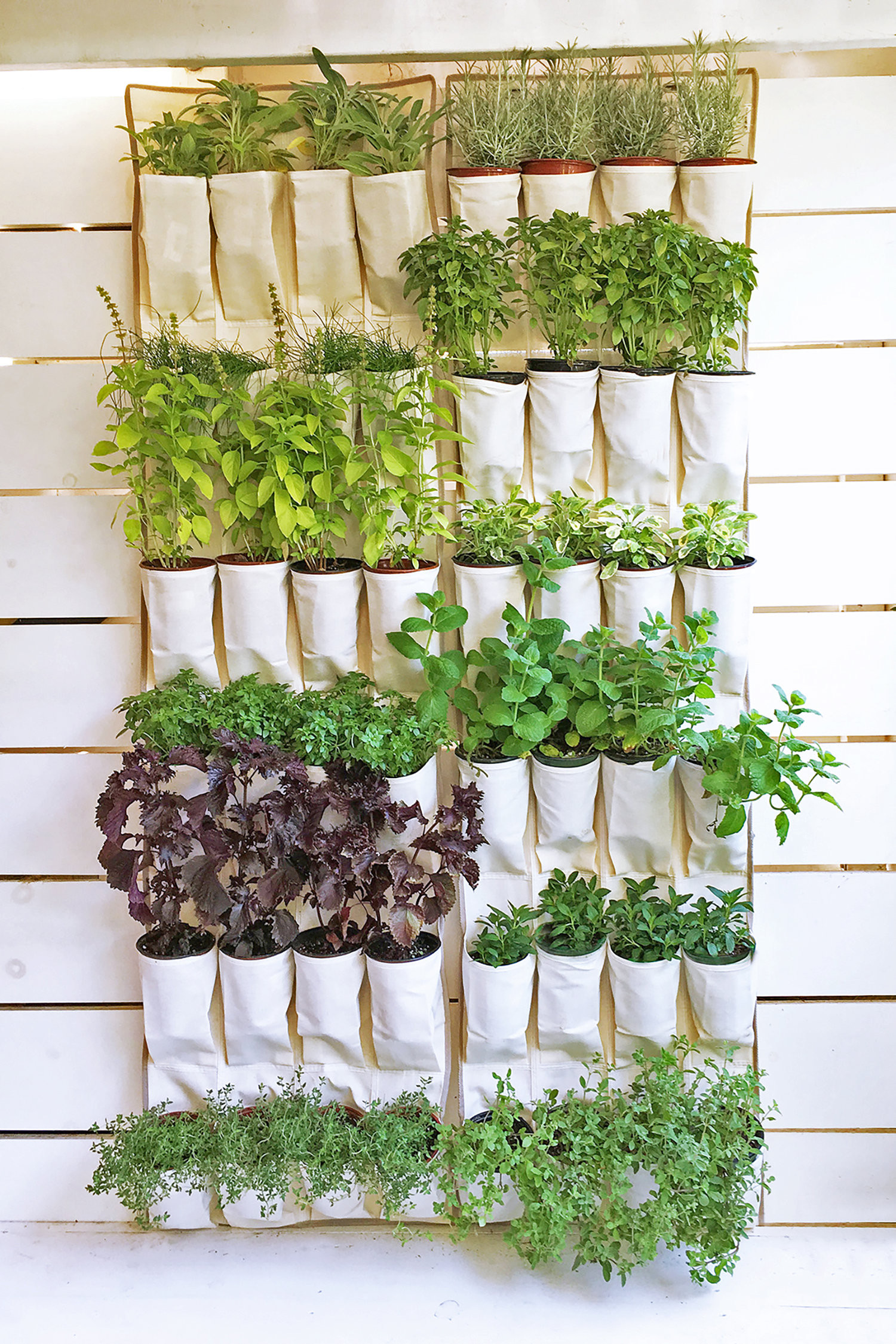 Best ideas about DIY Hanging Herb Garden
. Save or Pin 16 Best DIY Herb Garden Ideas You ll Obsess Over In 2019 Now.