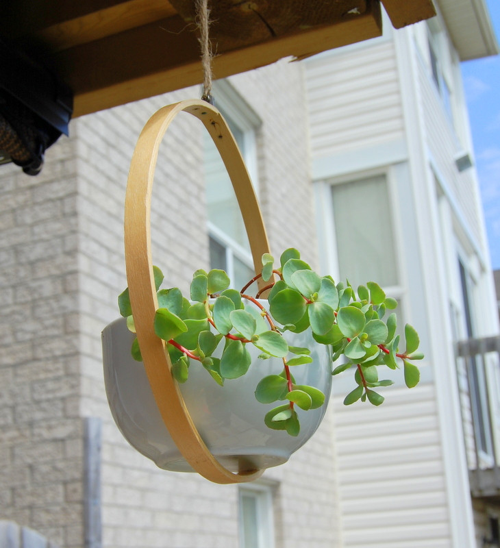 Best ideas about DIY Hanging Planters
. Save or Pin DIY Hanging Planter northstory Now.