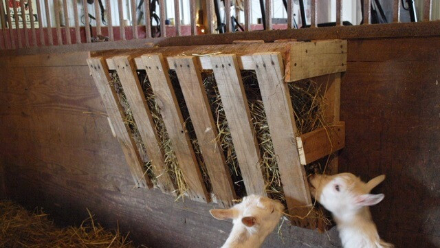 Best ideas about DIY Hay Feeder
. Save or Pin Pallet Hay Feeder Thehomesteadingboards Now.