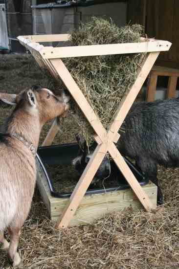 Best ideas about DIY Hay Feeder
. Save or Pin How to Build a Hay Feeder for Smaller Livestock Farm and Now.