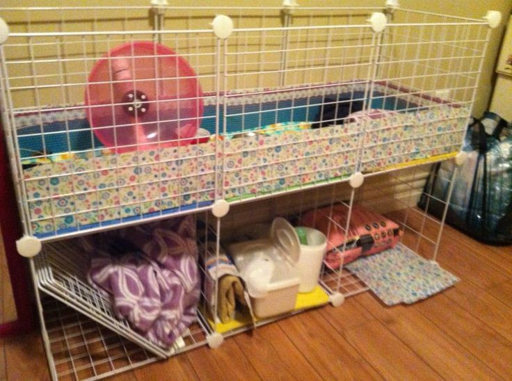 Best ideas about DIY Hedgehog Cage
. Save or Pin Hedgehog cage made out of storage cube Practical and Now.