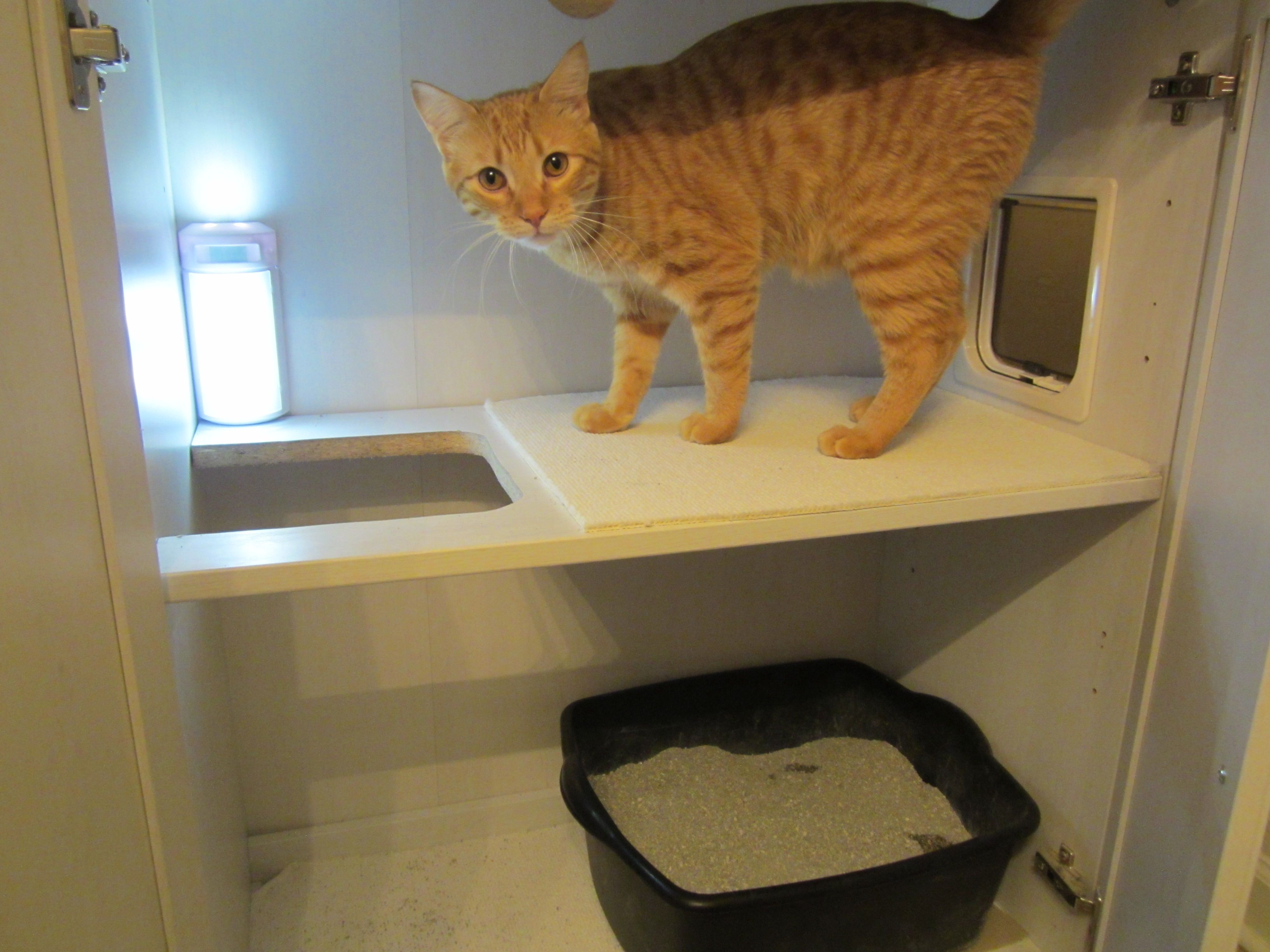 Best ideas about DIY Hidden Cat Litter Box
. Save or Pin DIY Hidden Litter Box We got rid of the litter trails and Now.