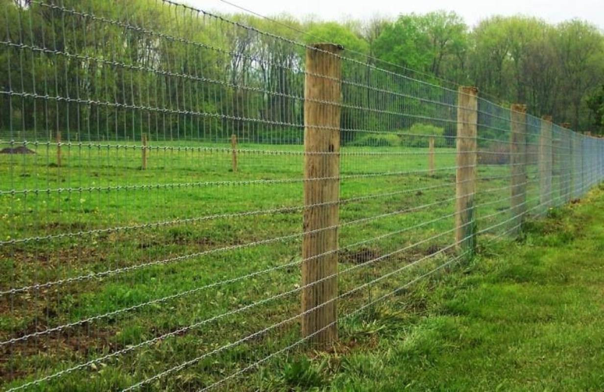 Best ideas about DIY Hog Wire Fence
. Save or Pin Best Hog Wire Fence — Good Christian Decors How to Build Now.