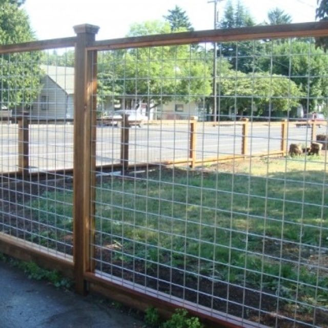 Best ideas about DIY Hog Wire Fence
. Save or Pin Pin by Barbara Ramsay on Beth Now.