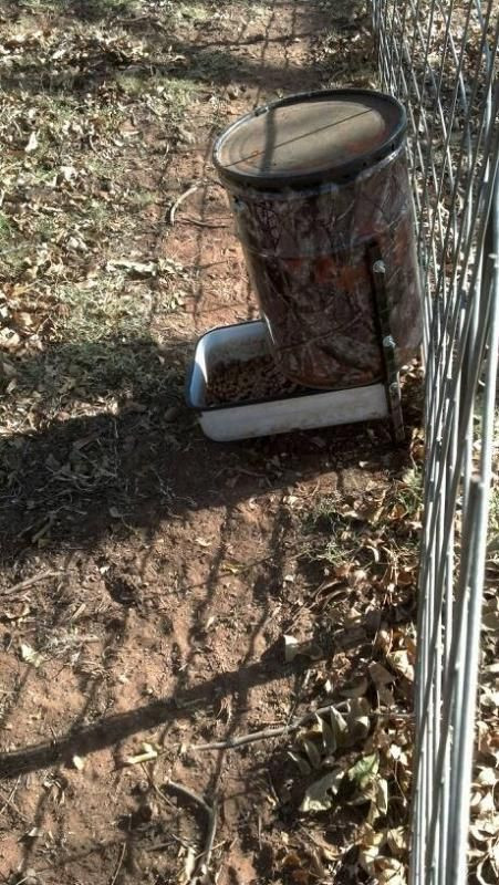 Best ideas about DIY Homemade Dog Feeders
. Save or Pin 21 best images about Dog feeder on Pinterest Now.
