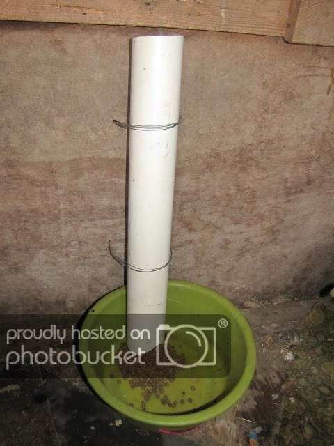Best ideas about DIY Homemade Dog Feeders
. Save or Pin My homemade auto dog feeder Backyard Chickens Now.