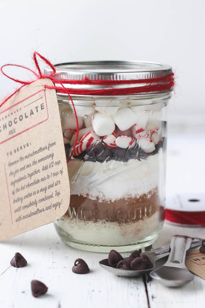 Best ideas about DIY Hot Chocolate Gifts
. Save or Pin Homemade Hot Chocolate Mix Love Grows Wild Now.