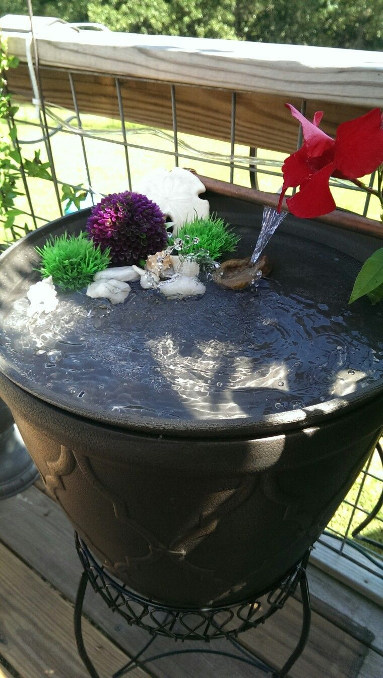 Best ideas about DIY Hummingbird Bath
. Save or Pin Hummingbird bath diy Garden Now.