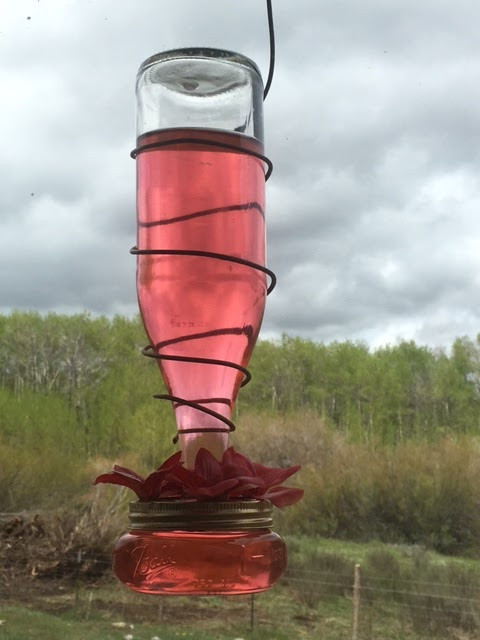 Best ideas about DIY Hummingbird Feeder Mason Jar
. Save or Pin Dirt Road Renaissance DIY mason jar and bottle Now.